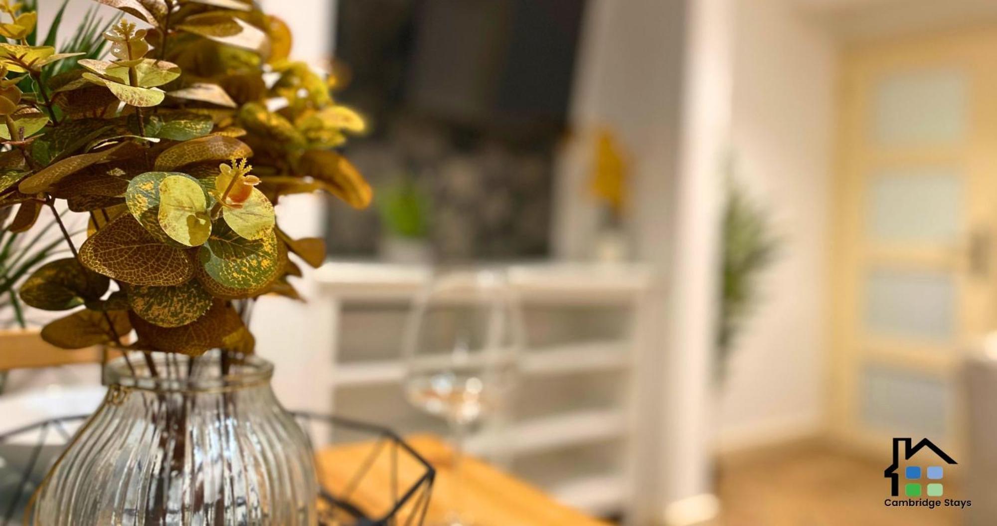 Stunning 1Br - Super Central- Peaceful Area - Lower Ground Apartment 캠브리지 외부 사진